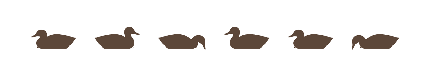 duck decoy illustrations