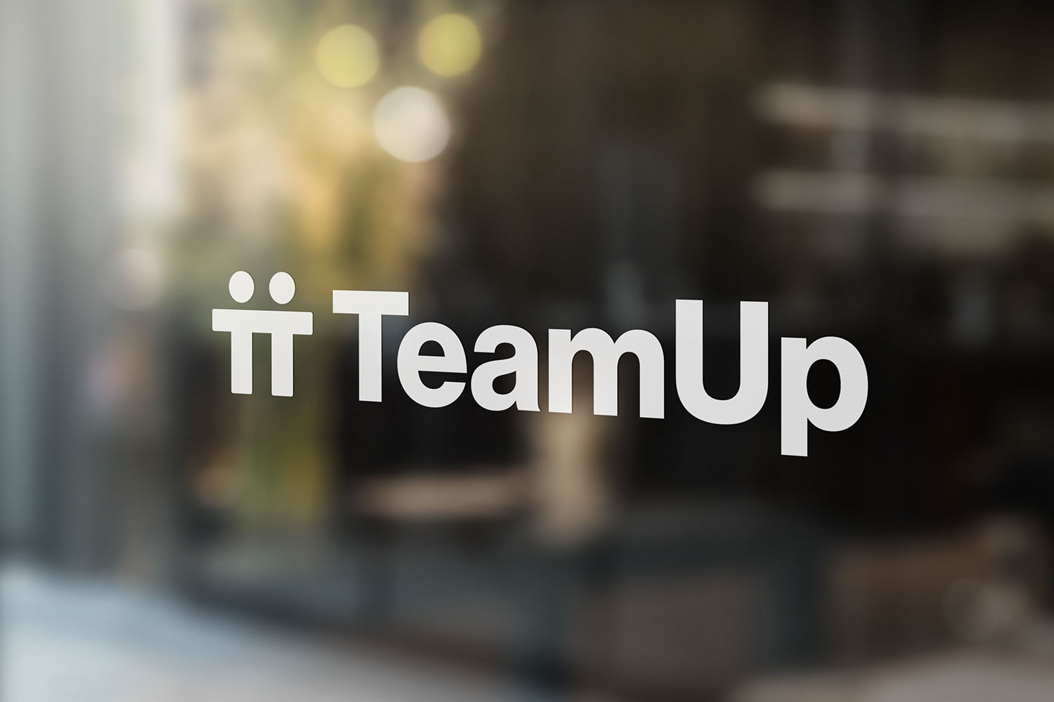 teamup-window