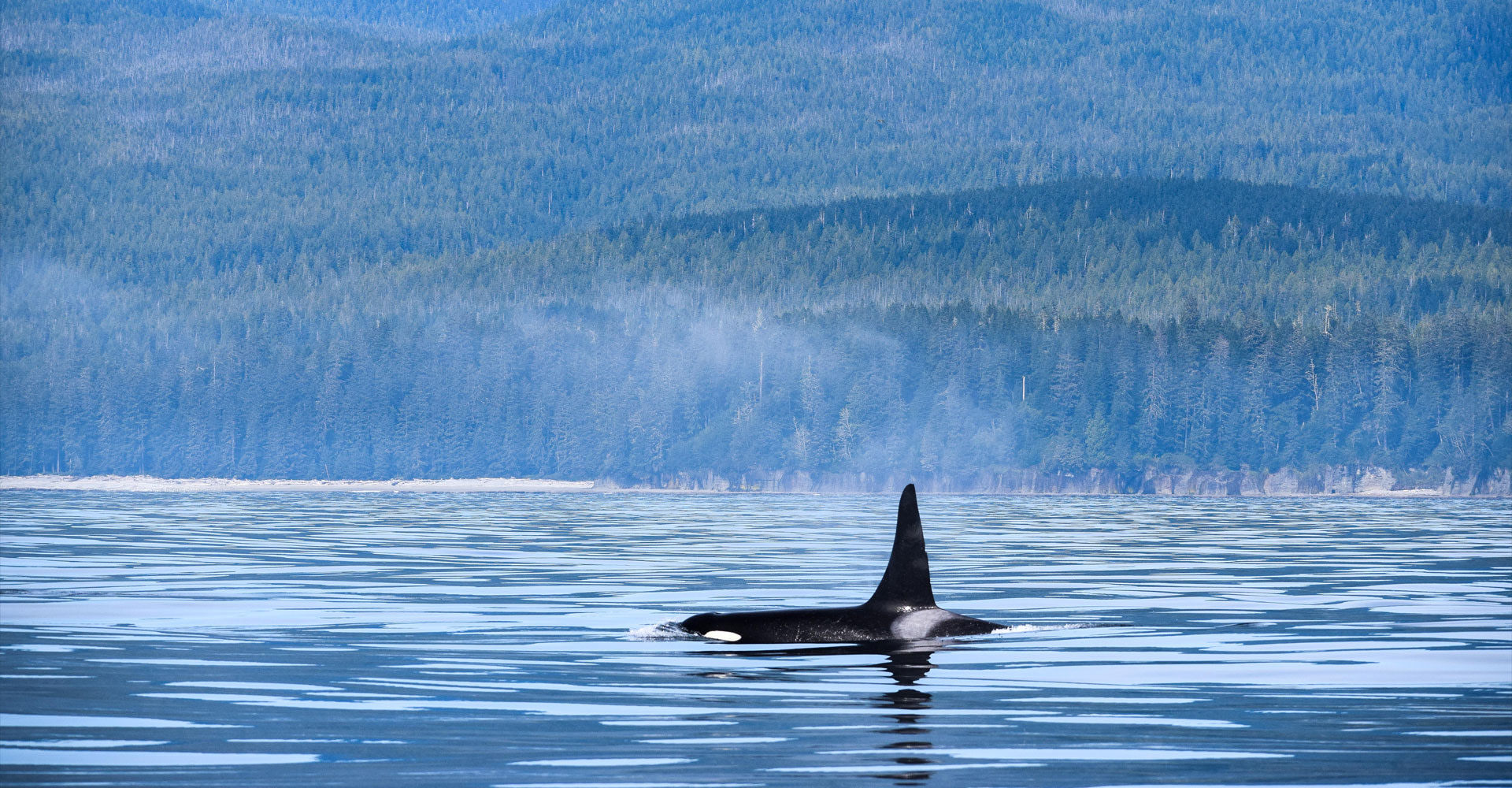 must-do-canada-page-header-1