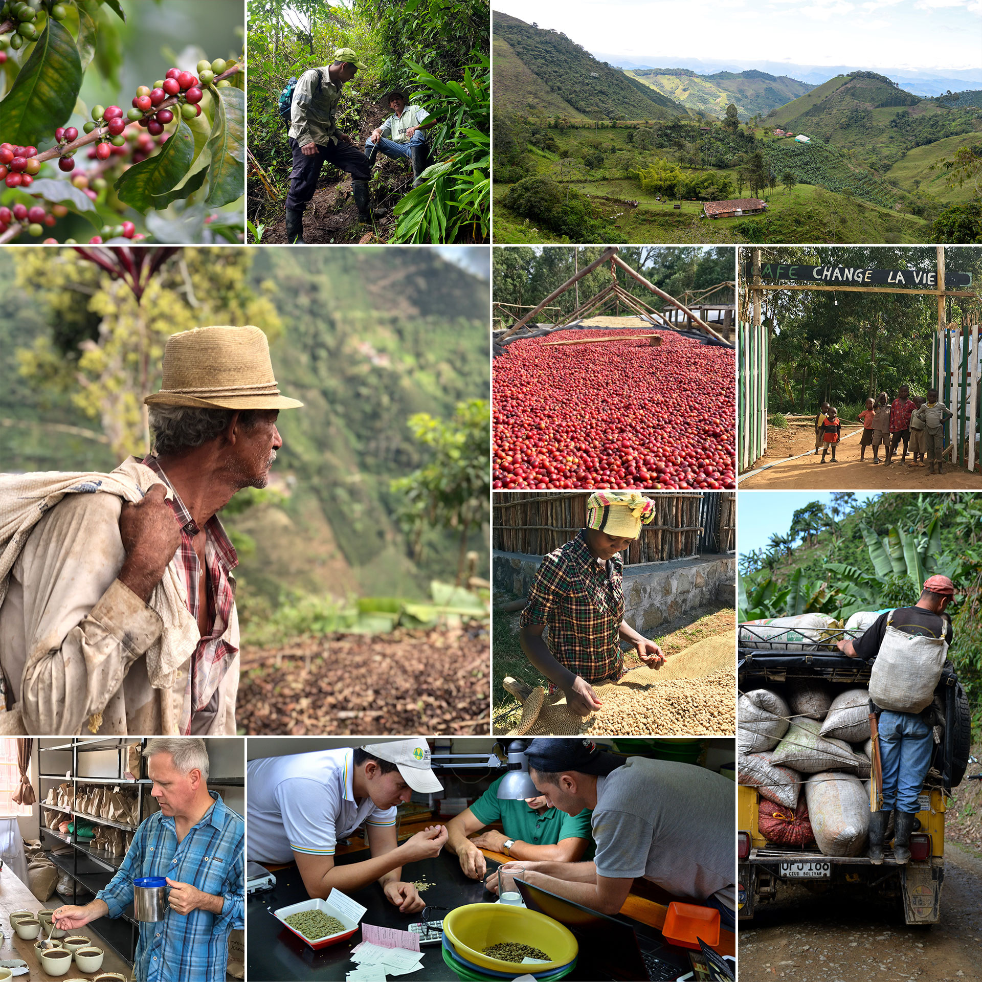 coffee sourcing images