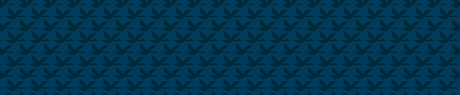 goose pattern