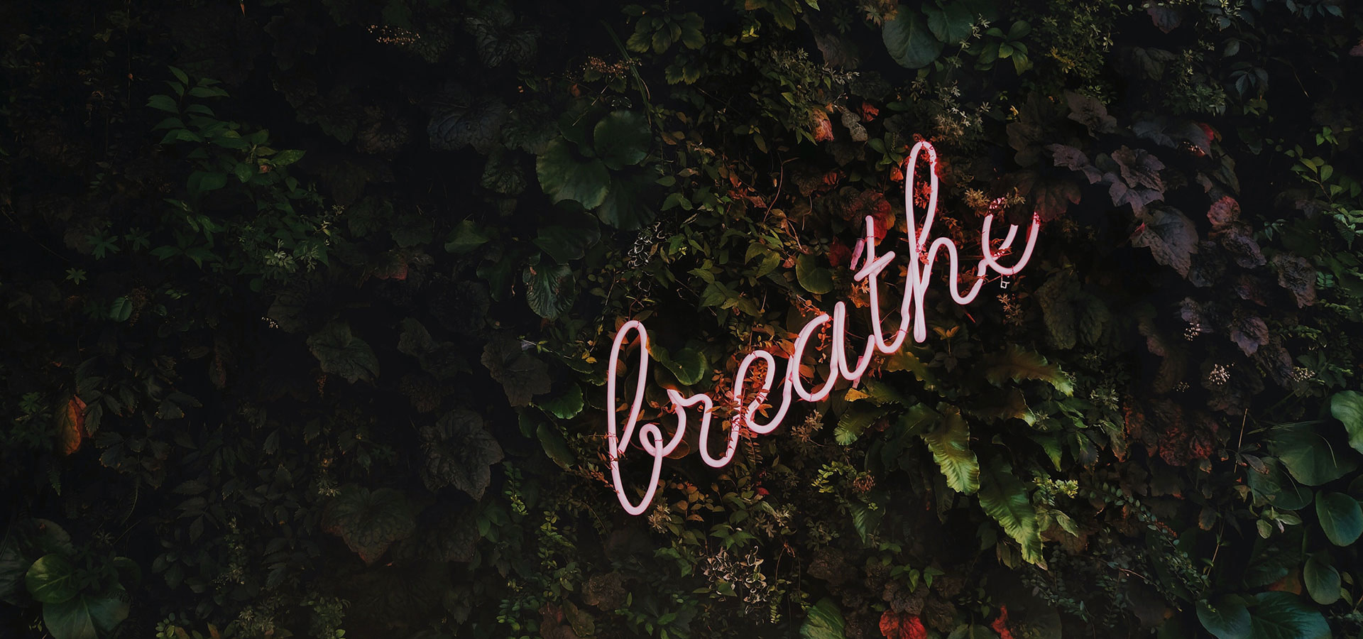 headwind-yoga-breathe